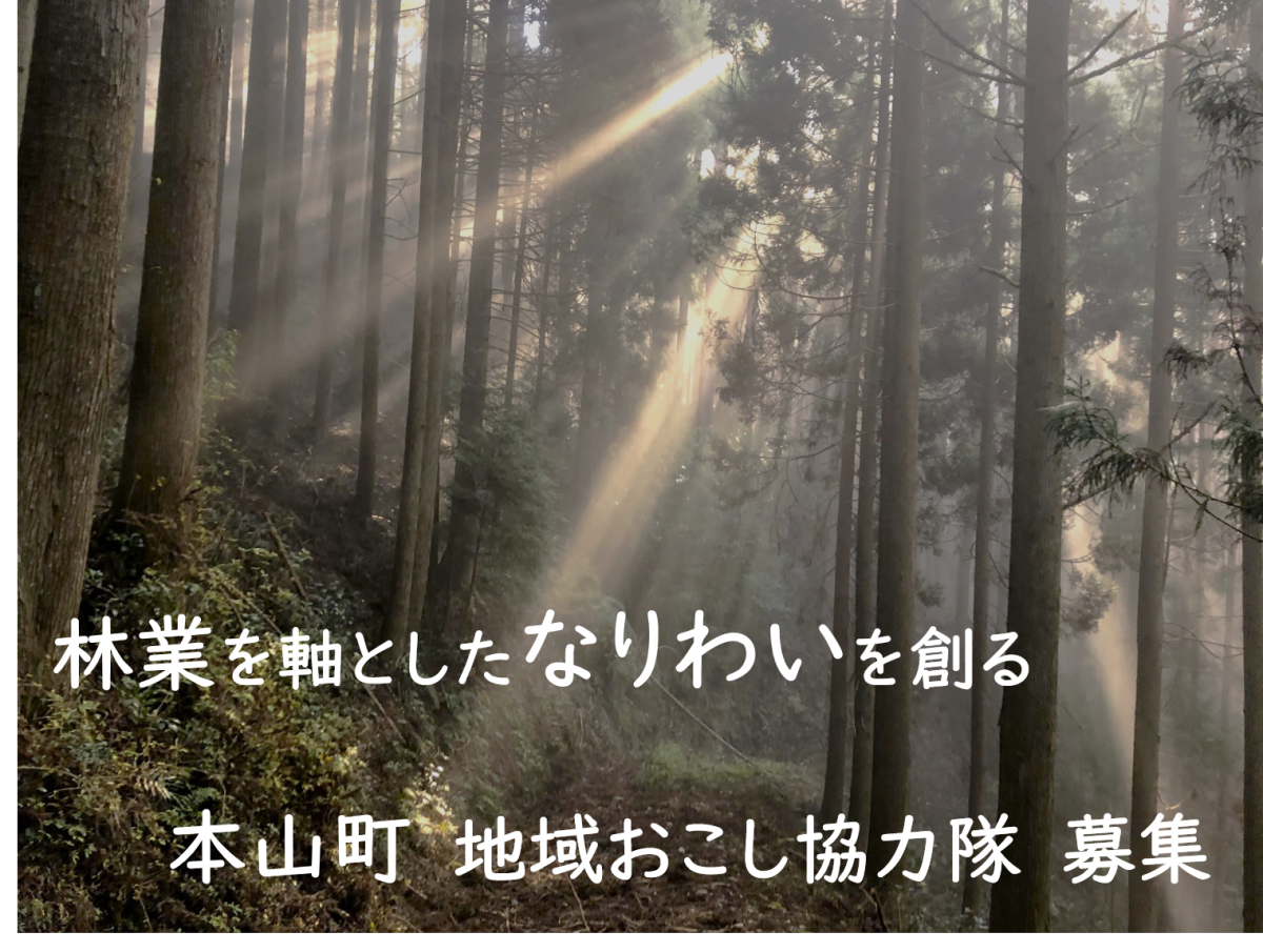 豊かな森を守り、活かす。多様な森づくりに携わる地域おこし協力隊を募集！